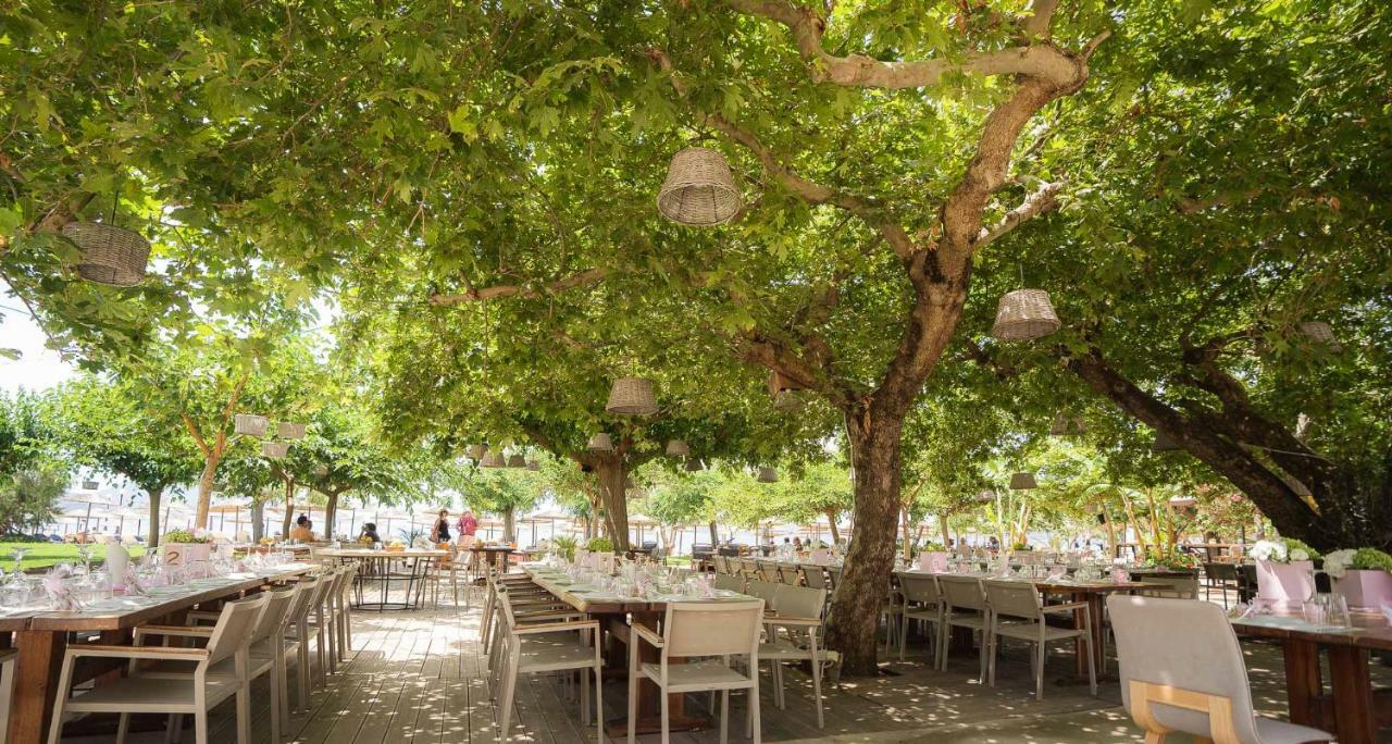Zoe Seaside Resort Gialova Exteriér fotografie